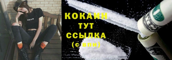 PSILOCYBIN Бронницы