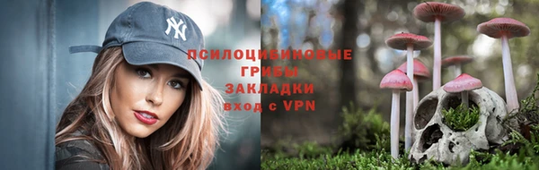 PSILOCYBIN Бронницы