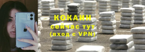 mix Бородино