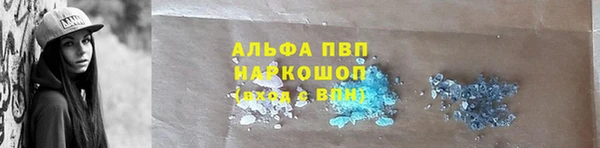 PSILOCYBIN Бронницы