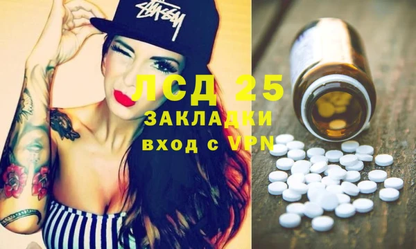 mix Бородино