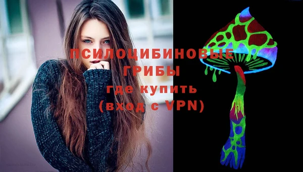 mix Бородино