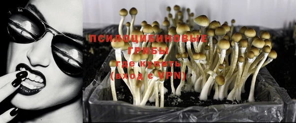mix Бородино