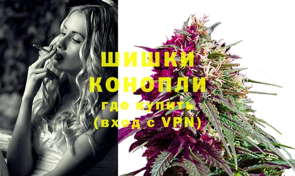 PSILOCYBIN Бронницы