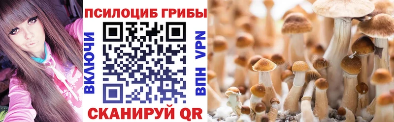 Купить где  Сарапул  Галлюциногенные грибы Psilocybe 